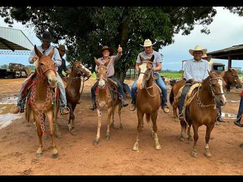 Imagem - 1ª Cavalga Vera será em maio