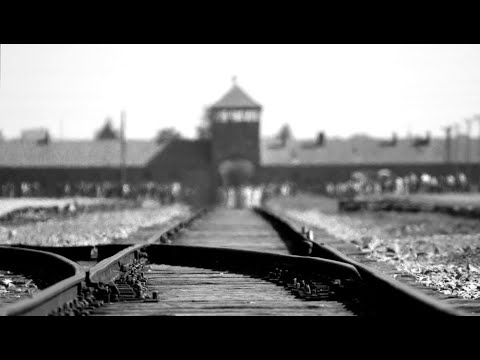 'Auschwitz, última parada': el libro que nos cuenta el Holocausto desde dentro | Ahora qué leo