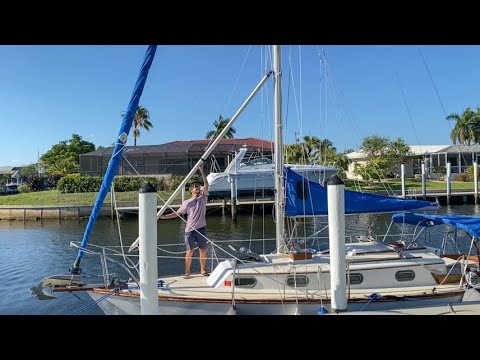 Projects: whisker pole, electronics, grab rail & manatees