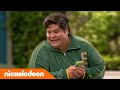 De Thundermans | Hondenverzorging voor beginners | Nickelodeon Nederlands