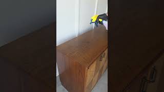 This is my favorite side hustle!#furnitureflip #furnituremakeover