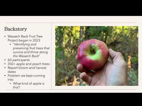 Identifying DNA Testing in Apples