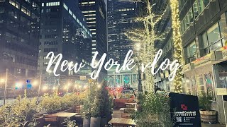 New York vlog🗽Driving to Manhattan | SoHo Area | HARBS |
