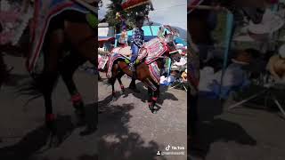 Download lagu Kuda renggong Si RONAL mp3 Download lagu Kuda renggong Si RONAL mp3