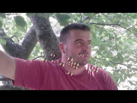 Jasko Becar - Od aksama, do sabaha [Uzivo]