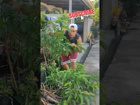 ang swerte ko talaga 🤣🤣🤣 #swerte #funny #tagalogmemes #comedymemes #comedy #pinoymeme