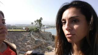 Loggerhead Turtles of Oman