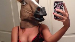 ЛУЧШИЕ ПРИКОЛЫ с Лошадьми Смешные видео про лошади и кони Подборка смешных подборок на ПРИКОЛЫ ТВ