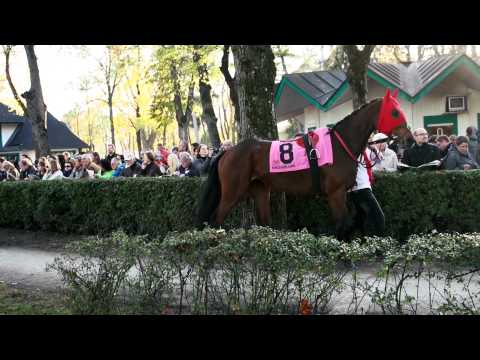 München-Riem "Halali" am 01. Nov. 2014 - Highlights