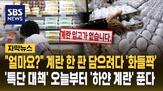 미국산 계란 112만개 5900원에 공급