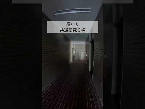 体育館から大学ギャラリーまで歩いてみた　#shorts