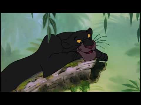 The Secret Life of Wilderness (2016) Part 10