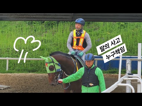 훈련중 말이 죽었다 누구 책임?/ 가해자 피해자 가려서는 안된다/