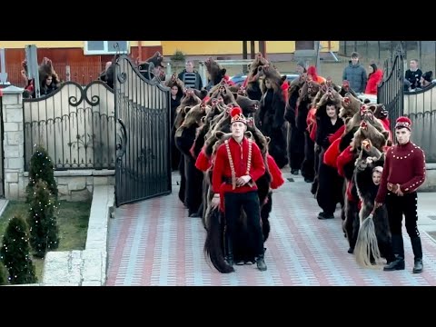 Urșii lui Mișu la Preluci 2 Ianuarie 2023 🔥🔥🔥