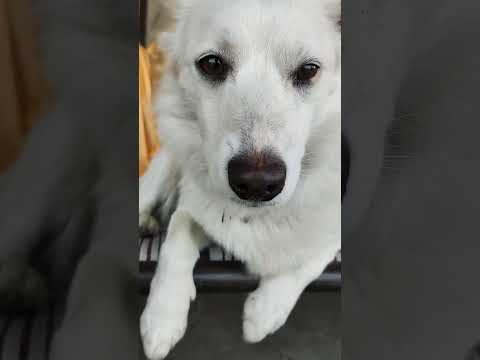 ❤💛🥰🧡💜😍😘