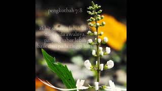 Download lagu Story'Wa Rohani Kristen mp3 Download lagu Story'Wa Rohani Kristen mp3