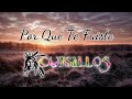 Por Qué Te Fuiste - Banda Cuisillos (Letra)❤