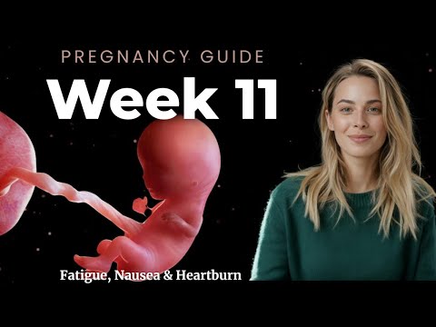 At 11 Weeks Pregnant, THIS Is What’s Really Happening to You and Your Baby
