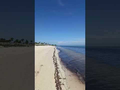 Relax 💆🏻‍♂️