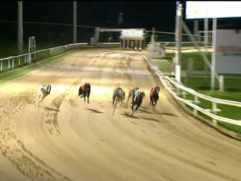 2017 COLOSSUS BITCHES DIV 1 - T3 QUEEN IZZY