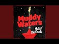 Ramblin' Kid Blues - Muddy Waters - Topic Ramblin' Kid Blues