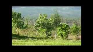 preview picture of video '2013 BARKADAHAN - BICOL (Albay Province) part 1, May16, 2013'
