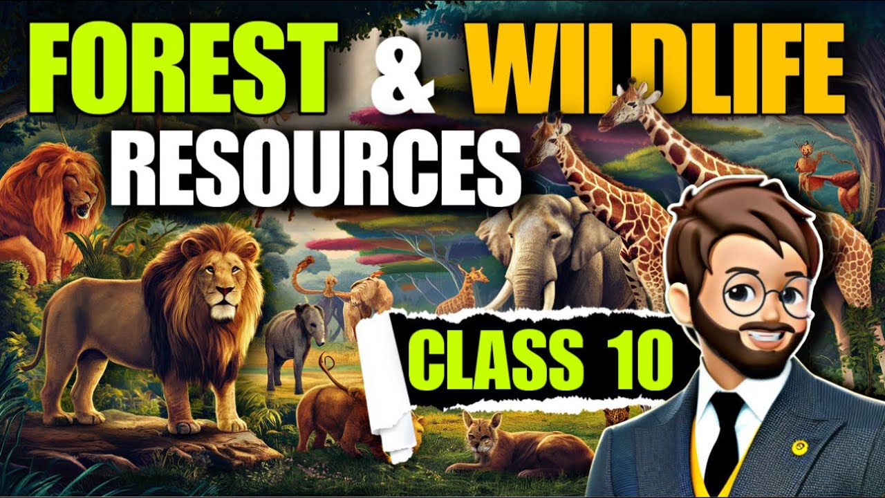 Forest and Wildlife Resources Class 10 | Animated 🌳 | Forest and Wildlife🐒 Resources cbse One Shot