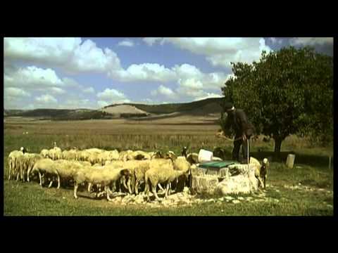 DENSAMENTE SPOPOLATA E' LA FELICITA' (trailer)