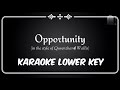 Opportunity (Karaoke LOWER KEY) - Sia (in the style of Quvenzhané Wallis)