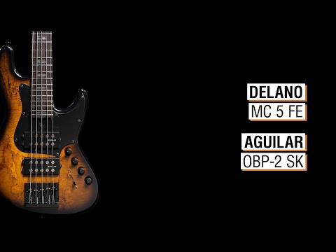 Delano MC 5 FE + Aguilar OBP-2 SK - Elwood L5a-24 34"