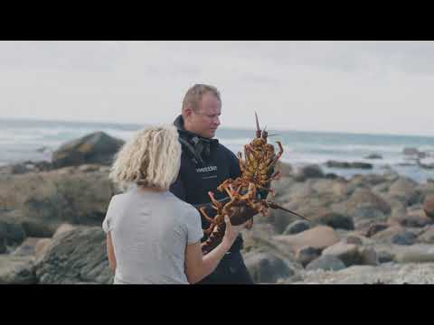 Welcome To Minaret Station - Tourism NZ