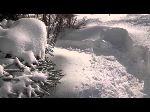 Kiitokset avaruusukolle