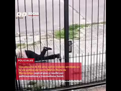 Arrebataron la cartera a una abuelita de 82 años en Malvín Norte.