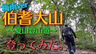 梅雨の伯耆大山登ってみた。