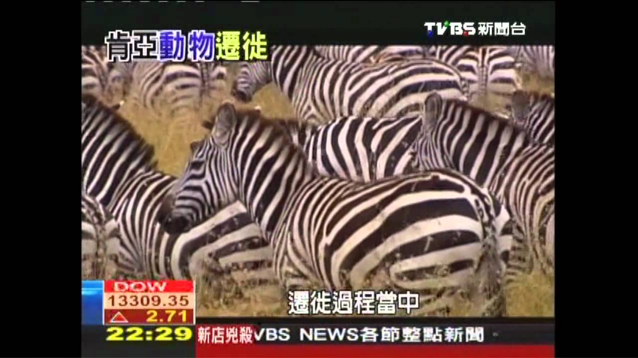 【動物大遷徙】非洲動物大遷徙 列百大「將消失奇景」