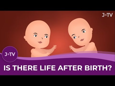 download lagu mp3 mp4 Is There Life After Birth, download lagu Is There Life After Birth gratis, unduh video klip Is There Life After Birth