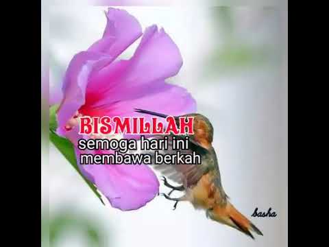 Lagu yang bisa menyejukkan Hati