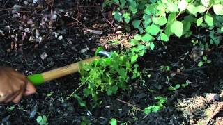 AMES Mini Action Hoe®