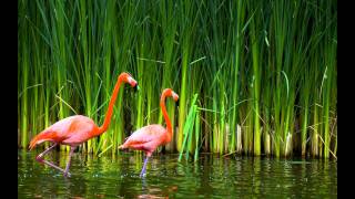 SLEIGH BELLS - RILL RILL (STYLUST BEATS REMIX)