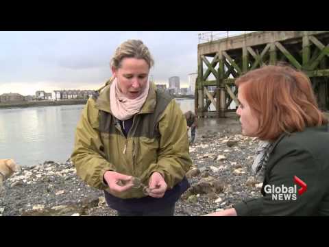 Mudlarking in London uncovers treasures