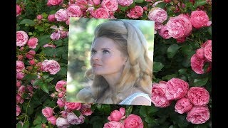 Lynn Anderson Hello Darling
