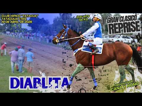 DIABLITA... Gran Clasico Reprise - Hipico Tatacua 19/04/2026 -