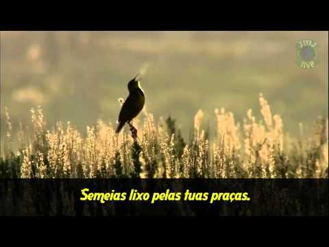 Hino Da Campanha Da Fraternidade 2016 video