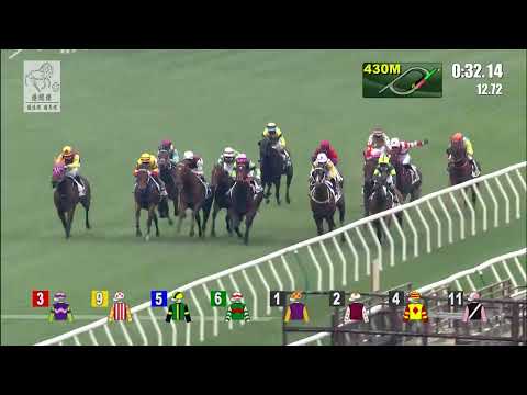 港經佬賽事重溫｜27-12-2021 沙田日馬第五場賽事重溫 (284)｜喜旺駒 GALAXY WITNESS (G110)｜莫雷拉 J Moreira｜方嘉柏 C Fownes｜免費心水及賽馬貼士
