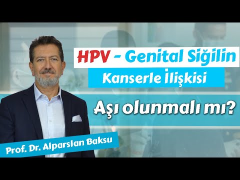 hpv genomszervezés