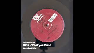 DMX - What you Want (Radio Edit)
