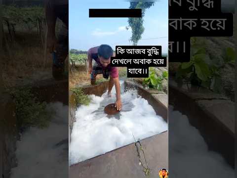 মানুষের মাথায় কত বুদ্ধি 🫡😱