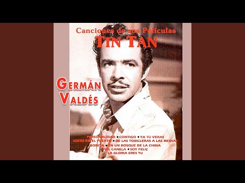download lagu mp3 mp4 Personalidad Tin Tan, download lagu Personalidad Tin Tan gratis, unduh video klip Personalidad Tin Tan