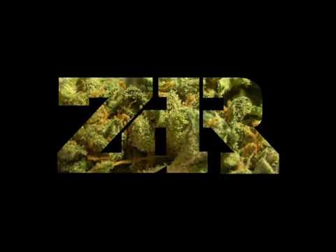 TPS - Widzisz więcej Banda Unikat ZdR