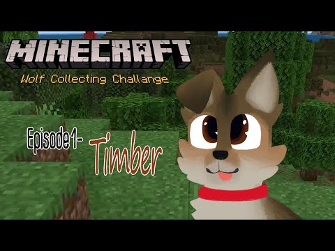 E1- Timber (Minecraft Wolf Collecting Challange)
